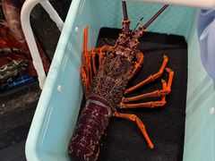 -东海怡品海鲜豆捞(舟宿夜江店)