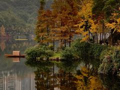 -重庆彩云湖湿地公园