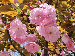 -杭州师范大学(下沙校区)