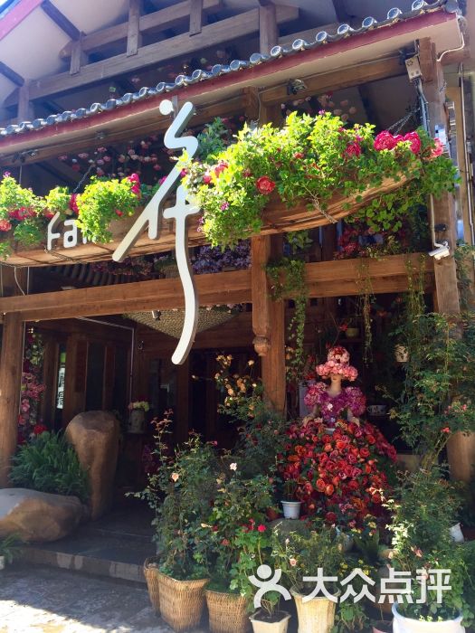 繁花酒吧-图片-丽江休闲娱乐-大众点评网