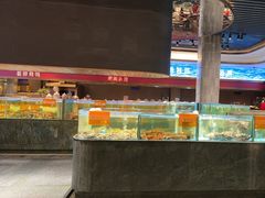 -国惠大酒楼(仓山万达店)