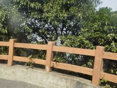 -杭州半山国家森林公园