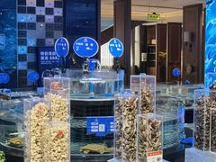 -华膳楼·安徽地标美食·中华餐饮名店(文化公园店)