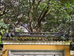 -普陀山慧济禅寺