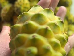 -羊栏农贸市场(羊新路店)