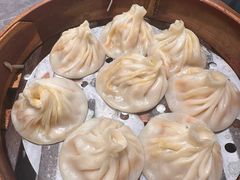 -莱莱小笼·乔艾