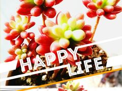 -万达影城(凯旋城广场XLAND店)