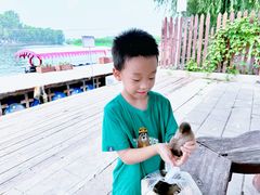 -白洋淀景区