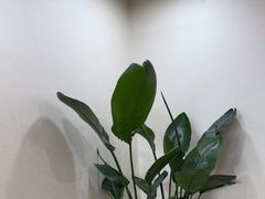 -会麦二手奢侈品包包手表回收寄卖(杨浦店)