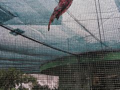 -九龙公园