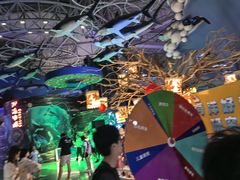 -烟台海昌鲸鲨海洋公园