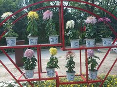 -上海市龙华烈士陵园