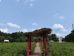 -光明农场大观园
