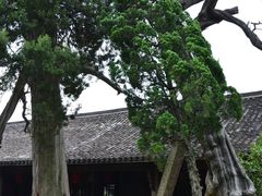 -江南第一家