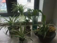 -新湖明珠城