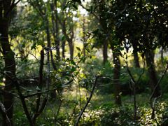 -北固山景区