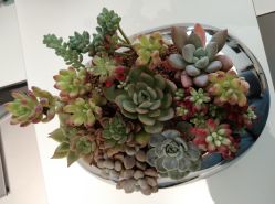 -颜蕾医美·黄金微针·水光·玻尿酸·超声炮·抗衰中心