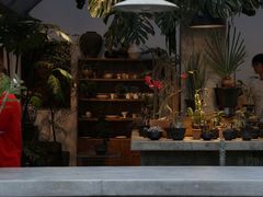 -自由生长植物工作室(深港花卉中心店)