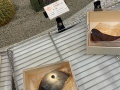 -OUR Bakery(SKP-S店)