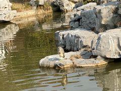 -狼山风景名胜区