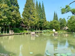 -乌村