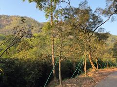 -大尖山公园