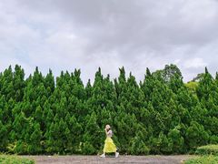 -南沙蒲洲花园