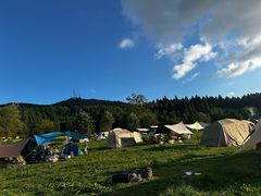 -武陵山森林公园