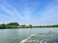-苏州太湖国家湿地公园