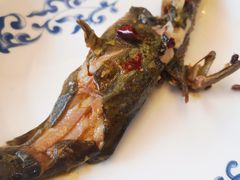 -汉水缘鲜鱼庄(黄雁村店)