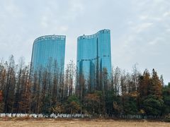 -艾溪湖湿地公园