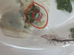 -田记自助海鲜饺子