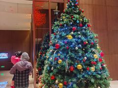 -嘉定凯悦·咖啡厅