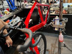 -TREK崔克自行车(徐汇滨江店)