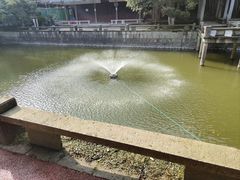 -峙山公园