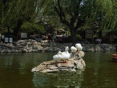 -团结湖公园