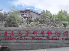 -青藏高原野生动物园