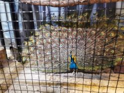 -酷嗒动物文化乐园(cutezoo西溪乐天城店)