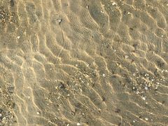 -北海金海湾红树林生态旅游区