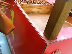 -阿男野栗王(金门路店)