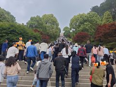 -庐山风景名胜区-东林大佛