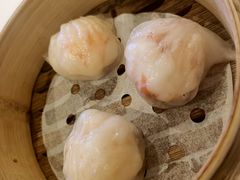 -粤珍轩.创始店.始于2001(含光门店)