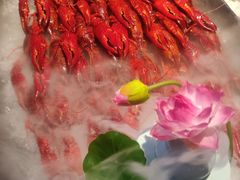 -舞虾小说.涮肉.烧烤(国顺东路店)