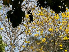 -南国桃园旅游度假区