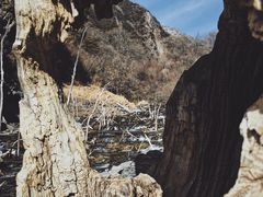 -叠溪松坪沟景区