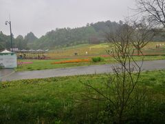 -保利石象湖景区