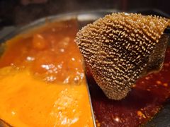 -九鼎轩脆毛肚火锅(三钢里店)