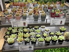 -鹿岛生活(熙地港店)