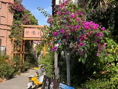 -三圣花乡旅游区