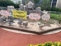 -造物庄园 萌宠纪(苏州湾歌林公园店)